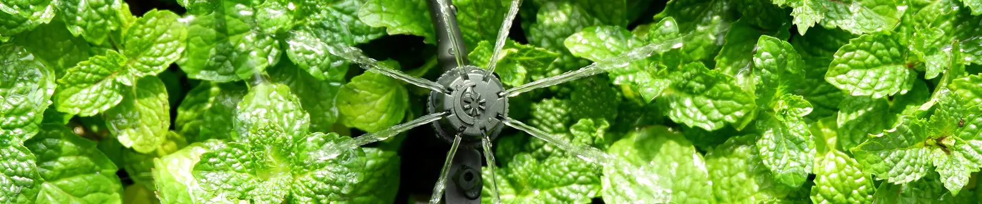 喷淋器延长接头