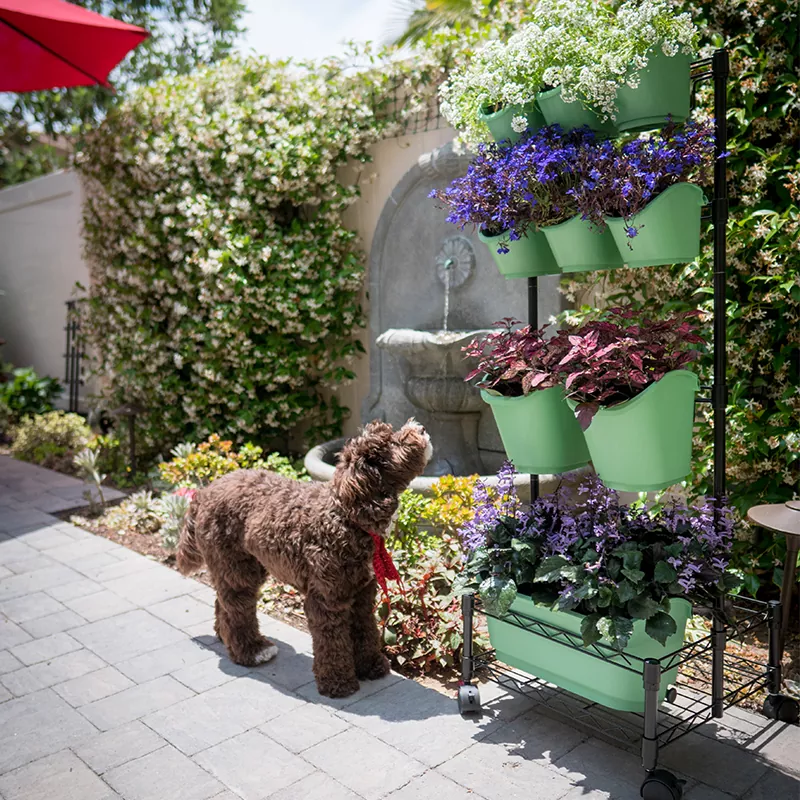 金属移动绿墙双框